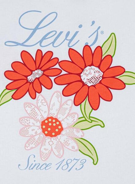 Gallery k179038 ksvxms8n