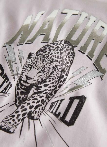 Gallery k177004 tdbbwiec