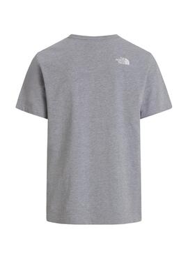 Camiseta The North Face Evo gris para hombre