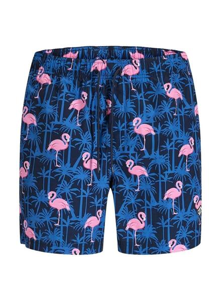 Gallery k179485 ctfsrxzv