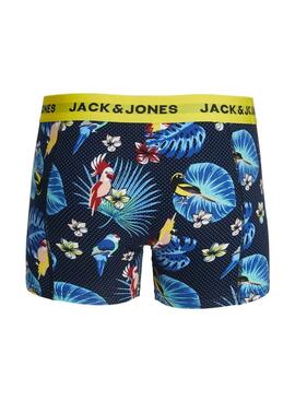 Pack Boxers Jack and Jones Flower Bird para hombre