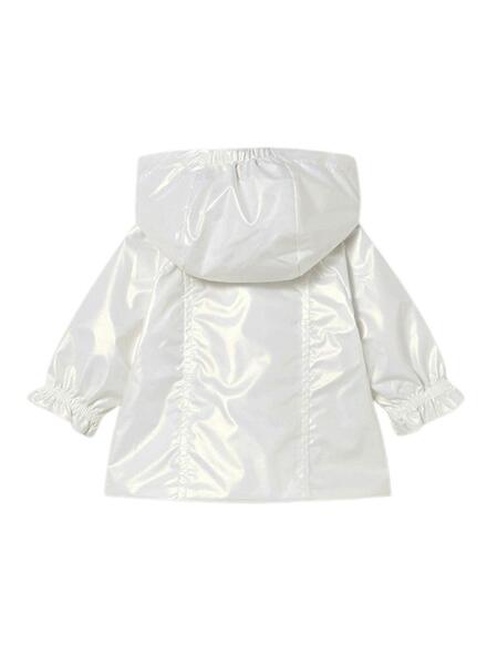 Gallery k179191 xlpt62vj