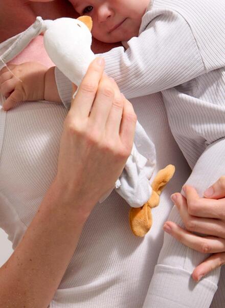 Gallery k179074 gimvnciw