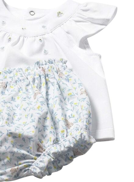 Gallery k179163 my173prt