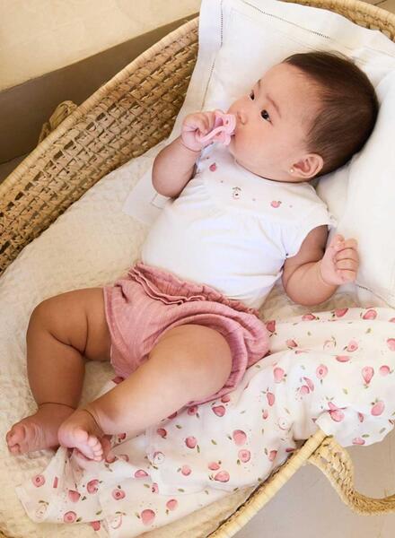 Gallery k179174 fr5tavid