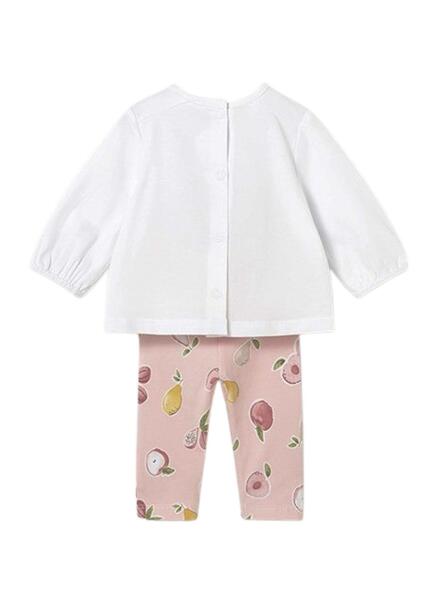 Gallery k179176 4gqzr3es