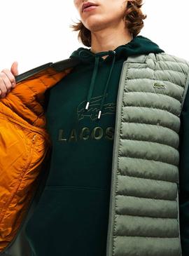 Chaleco Lacoste Acolchado Verde Para Hombre