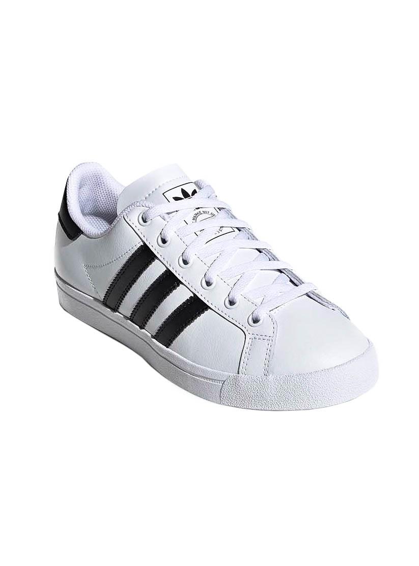 Zapatilla coast star hotsell