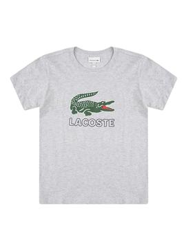 Camiseta Lacoste Croc Gris Para Niño