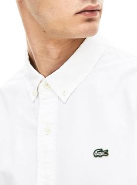 Camisa Lacoste Live Blanco Oxford Para Hombre