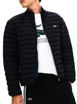 Chaqueta Lacoste Acolchada Negro Hombre