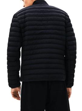 Chaqueta Lacoste Acolchada Negro Hombre