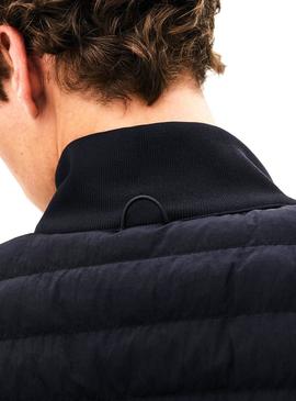 Chaqueta Lacoste Acolchada Negro Hombre