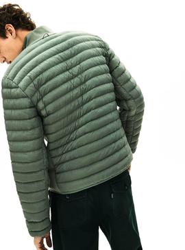 Chaqueta Lacoste Acolchada Verde Hombre 