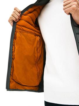 Chaqueta Lacoste Acolchada Verde Hombre 