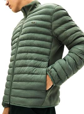 Chaqueta Lacoste Acolchada Verde Hombre 