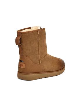 Botas UGG Classic Short Front Zip Camel Mujer