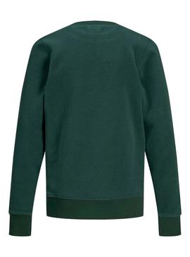 Sudadera Jack and Jones North Verde Niño