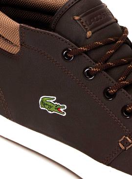 Botines Lacoste Ampthill Marron Hombre