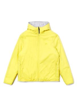 Chaqueta Lacoste SH8584 Gris Hombre