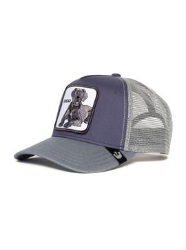 Gorra Goorin Bros Baseball Great Azul 