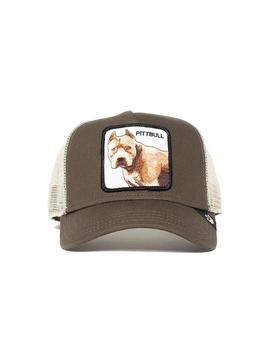Gorra Goorin Bros Baseball Pitbull Tostado