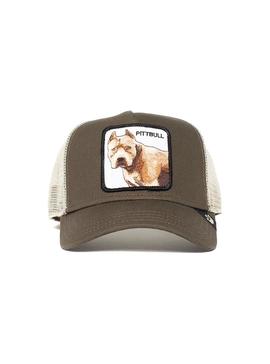 Gorra Goorin Bros Baseball Pitbull Tostado