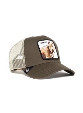 Gorra Goorin Bros Baseball Pitbull Tostado