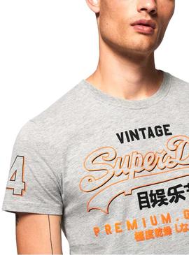 Camiseta Superdry Goods Gris para Hombre
