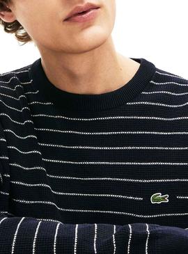 Jersey Lacoste Rayas Azul Marino para Hombre