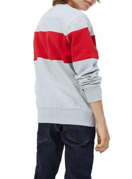 Sudadera Pepe Jeans Keith Gris para Niño