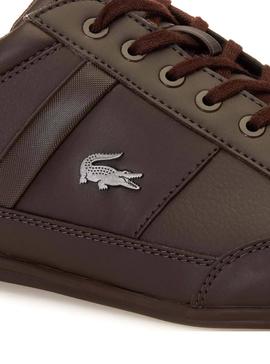 Zapatillas Lacoste Chaymon Marrón para Hombre