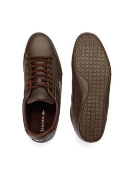 Zapatillas Lacoste Chaymon Marrón para Hombre