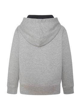 Sudadera Pepe Jeans Forest Gris para Niño