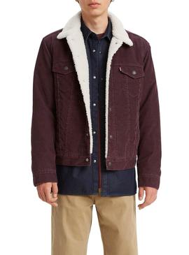 Cazadora Levis Sherpa Granate Borreguillo Hombre
