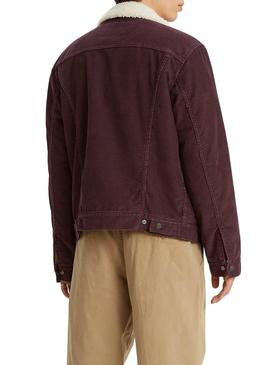 Cazadora Levis Sherpa Granate Borreguillo Hombre