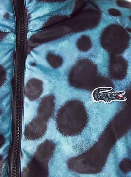 Cazadora Lacoste X National Geographic Azul Hombre