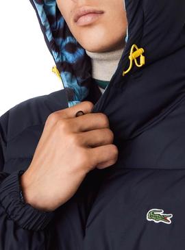 Cazadora Lacoste X National Geographic Azul Hombre