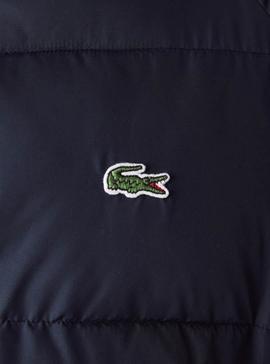 Cazadora Lacoste X National Geographic Azul Hombre