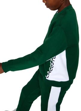 Sudadera Lacoste Bicolor Verde para Niño