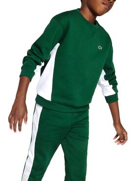 Sudadera Lacoste Bicolor Verde para Niño
